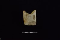 錛鑿形器藏品圖，第2張